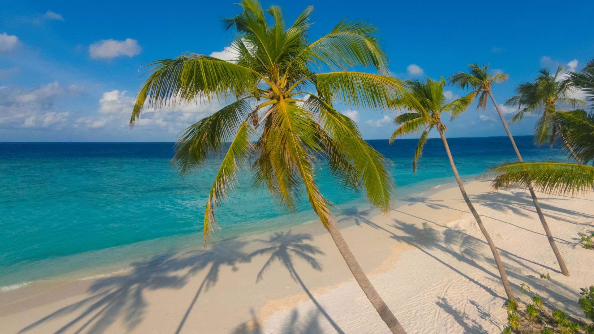 Milaidhoo Island
