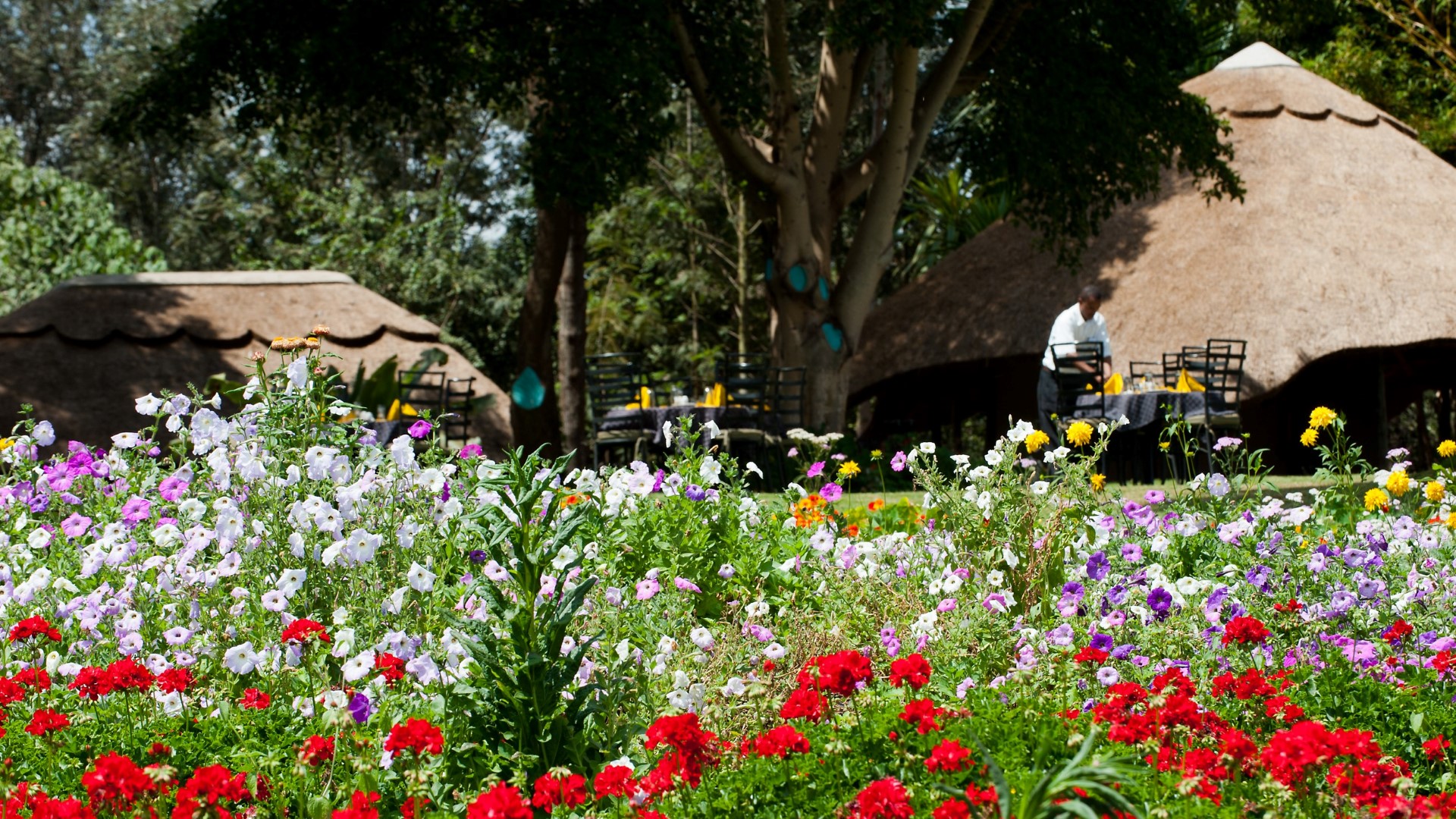 Ngorongoro Farm House