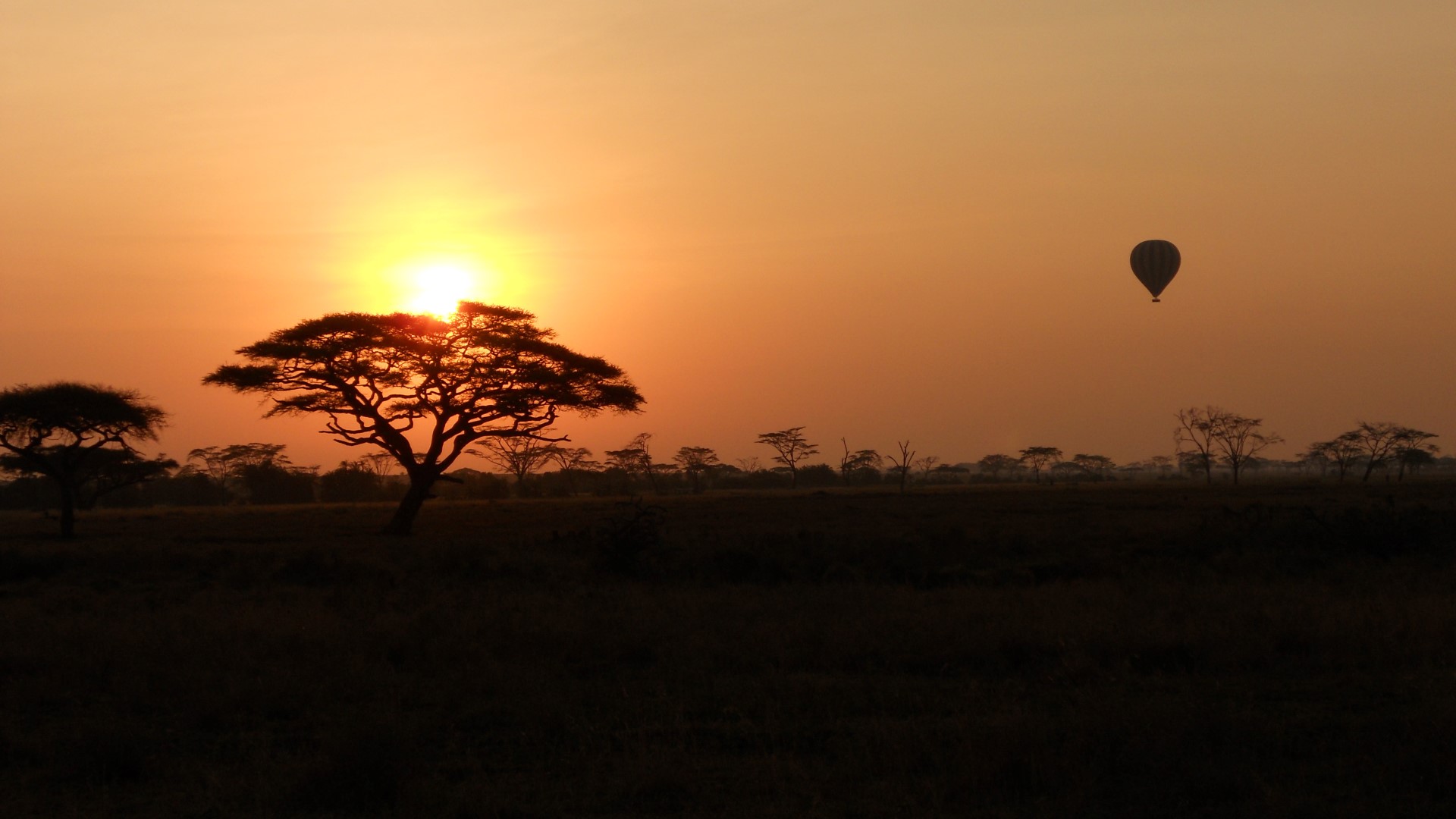 Kati Kati Tented Camp