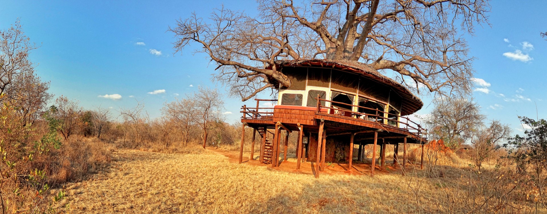 Tarangire Treetops