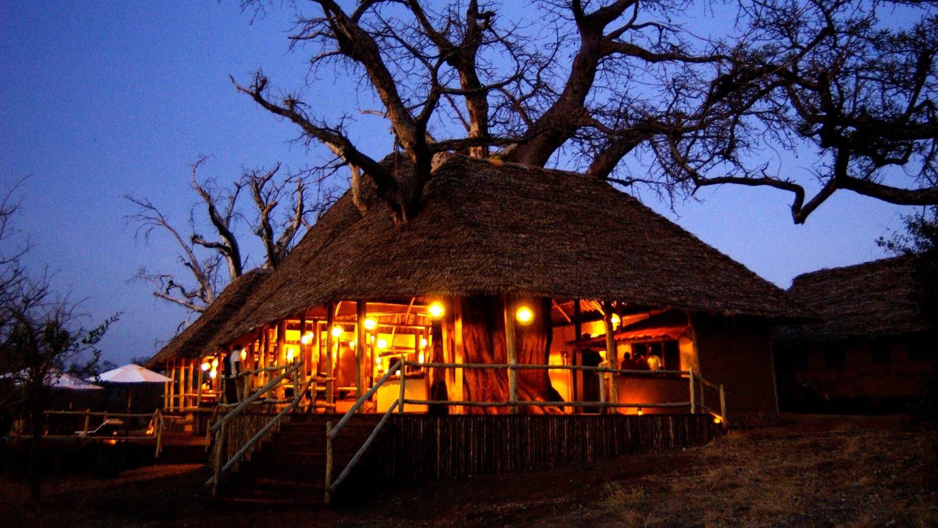 Tarangire Treetops