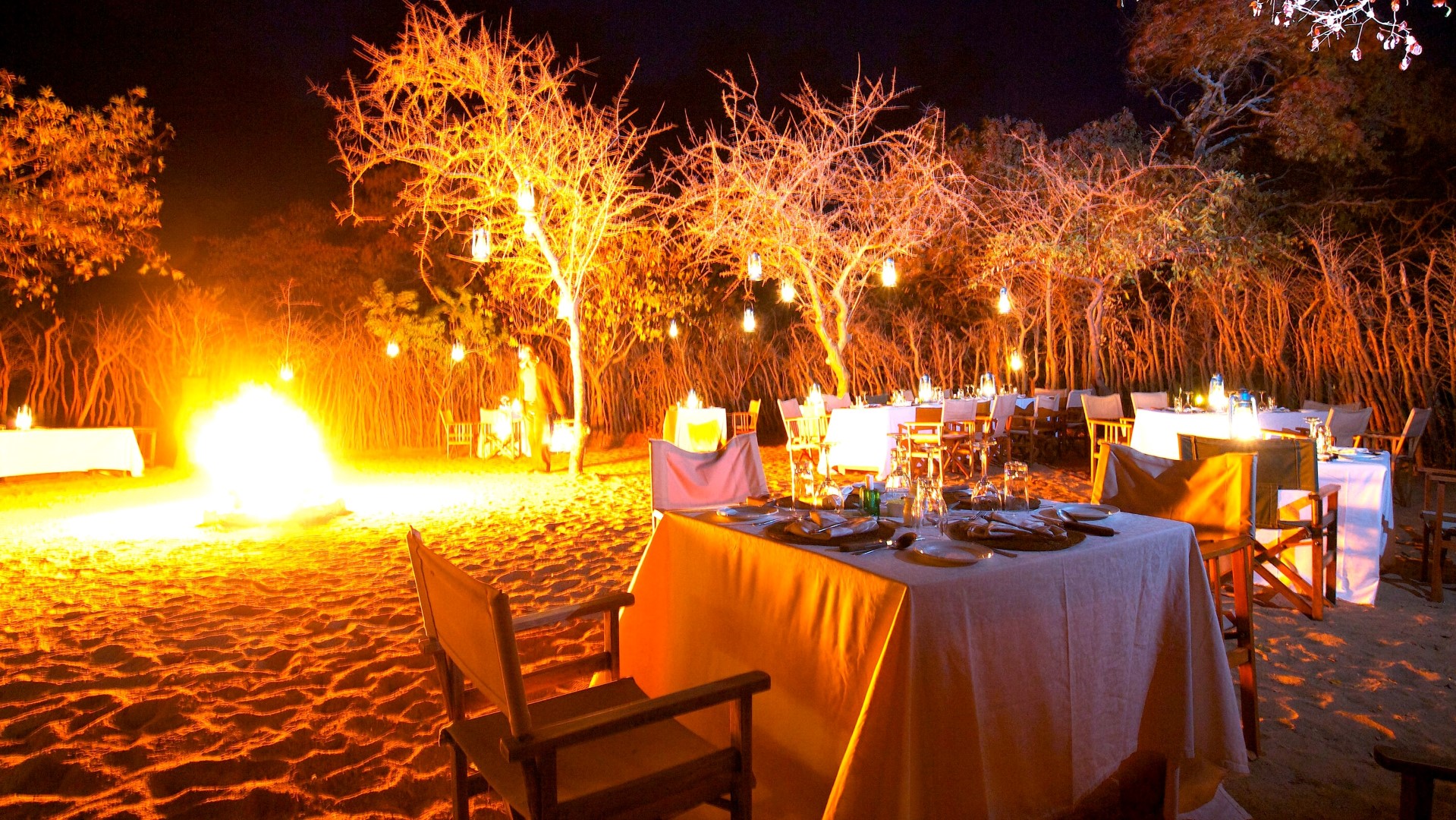 Tarangire Treetops