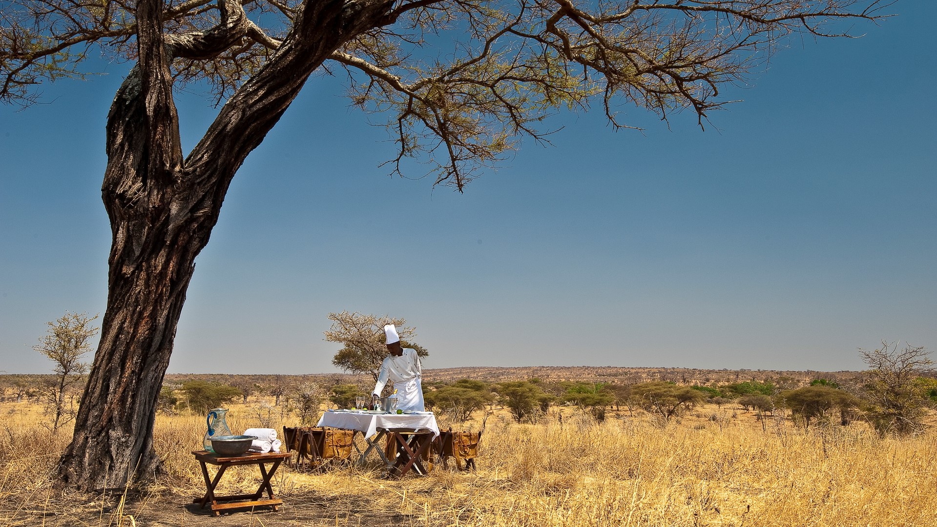 Tarangire Treetops