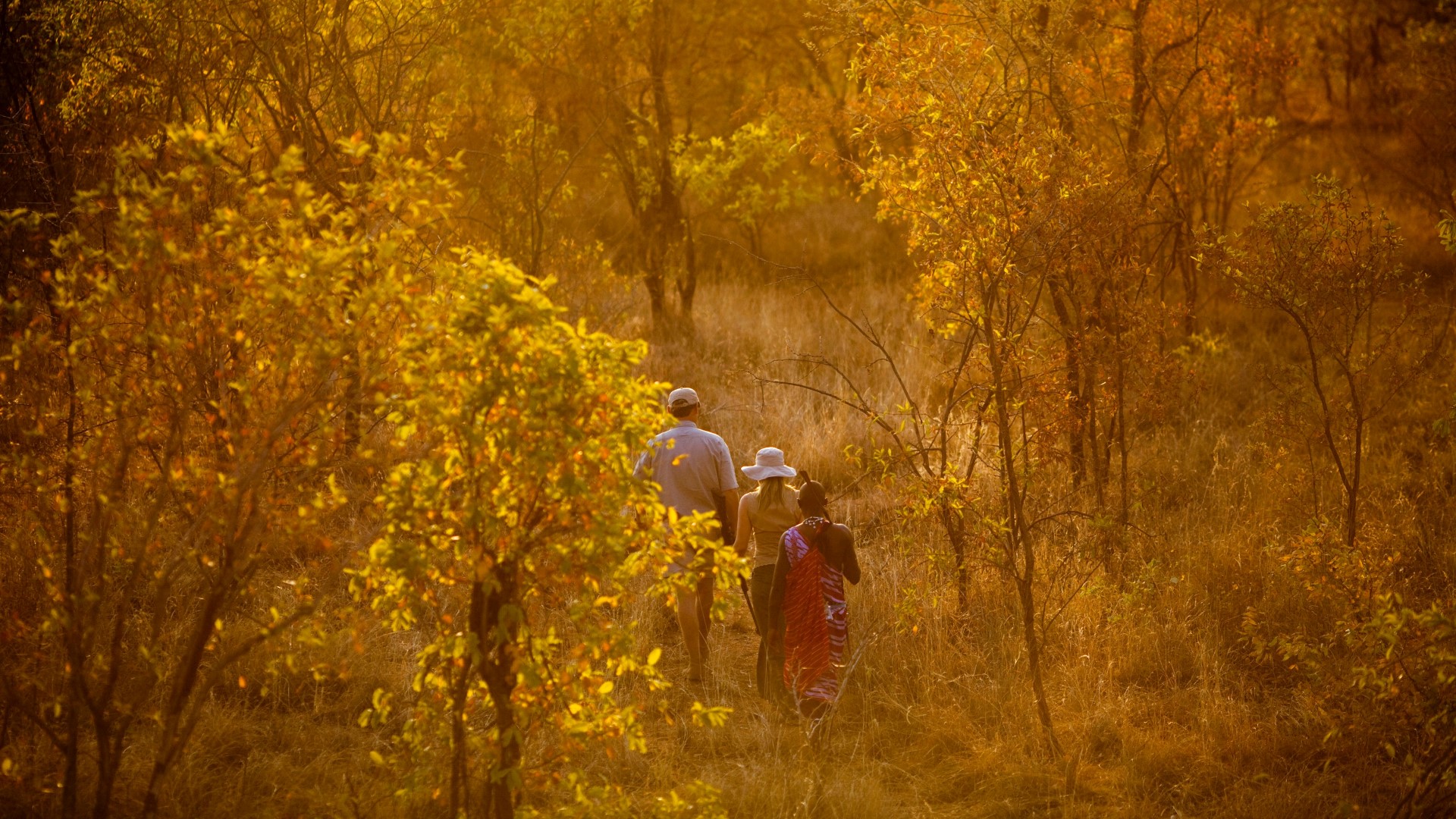 Tarangire Treetops