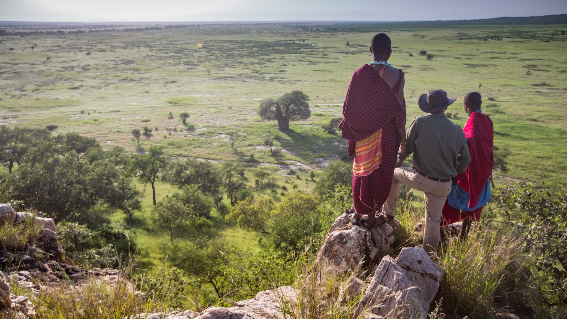 Tarangire Treetops