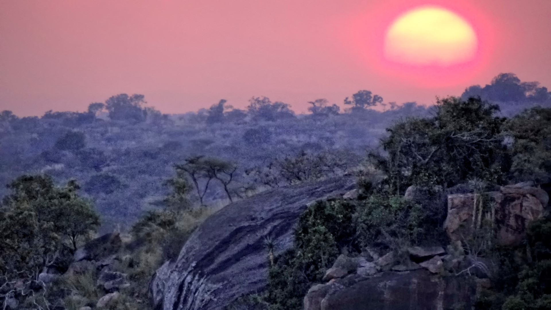 Tarangire Treetops
