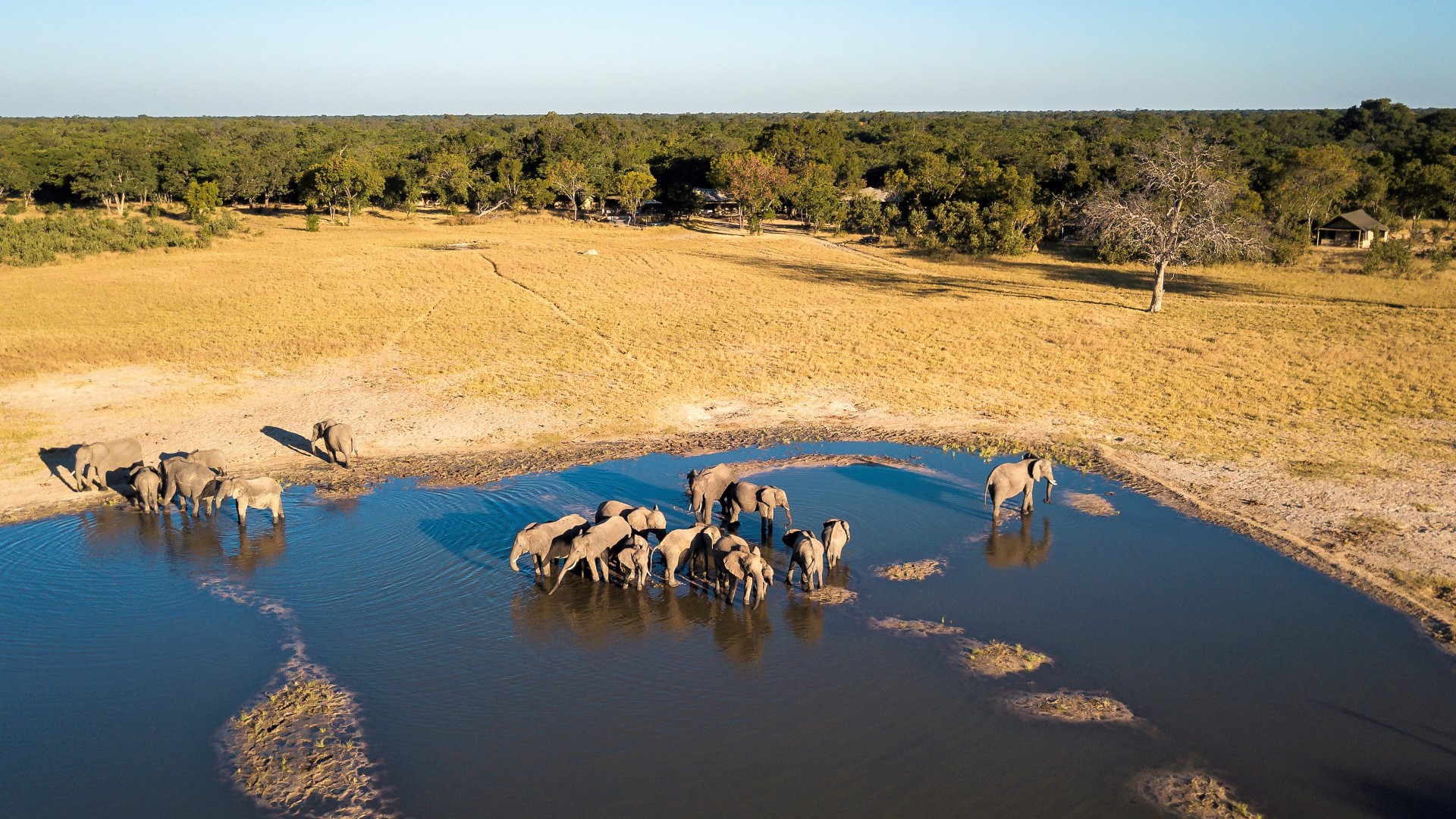 Little Makalolo Camp