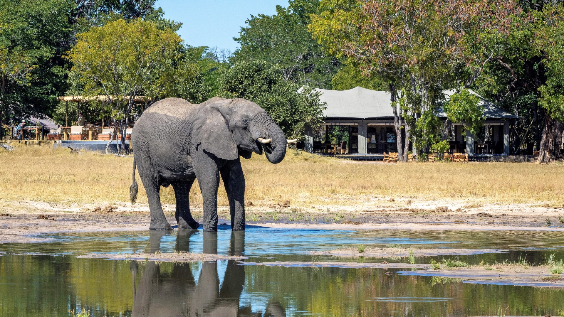 Little Makalolo Camp