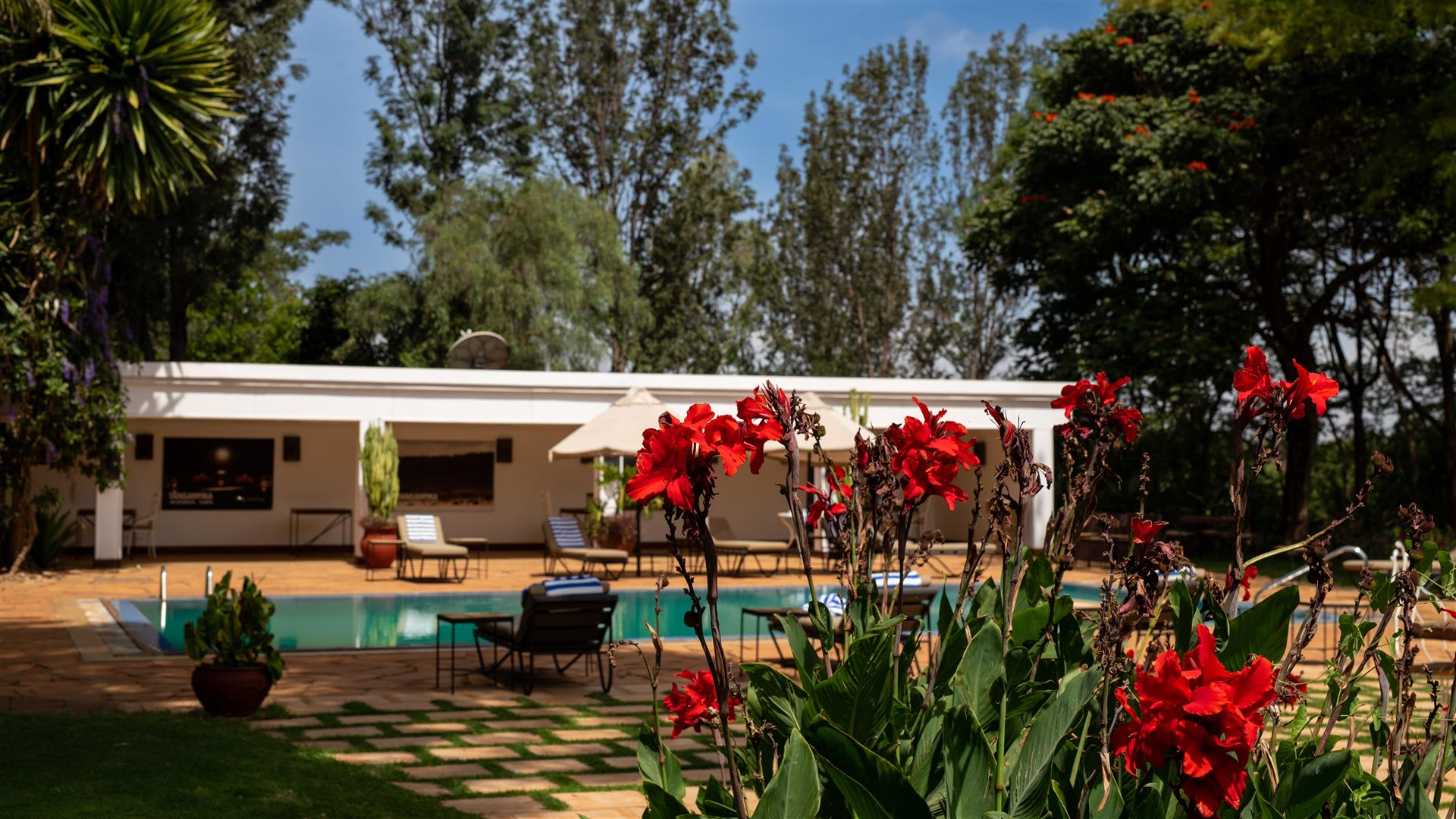 Ngorongoro Farm House